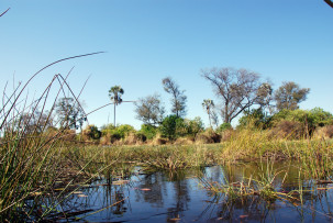 Mit dem Mokoro durch das Okavangodelta