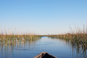 Mit dem Mokoro durch das Okavangodelta