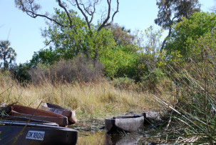 Mit den Mokoros durch das Okavangodelta