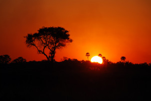 Sonnenuntergang im Okavangodelta