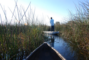 Mokoro-Fahrt durch das Schilf im Okavangodelta
