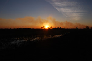 Sonnenuntergang im Okavangodelta mit Buschfeuer