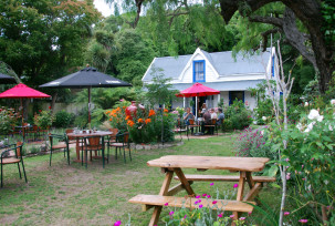 Biergarten in Akaroa