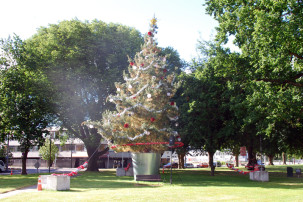 Weihnachtsdekoartion in Christchurch
