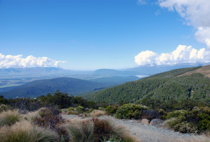 Kepler Track