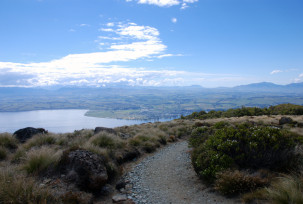 Kepler Track
