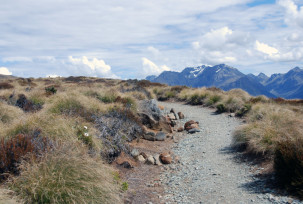 Kepler Track