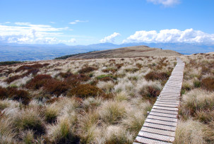 Kepler Track
