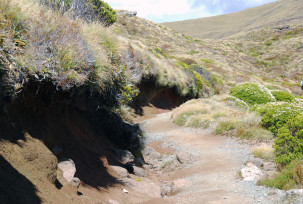 Kepler Track