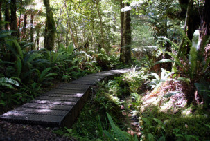 Kepler Track