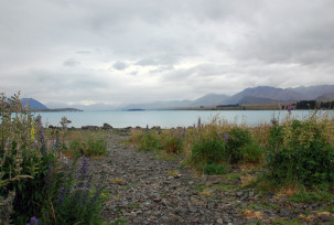 Lake Tekapo