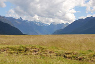 Milford Road