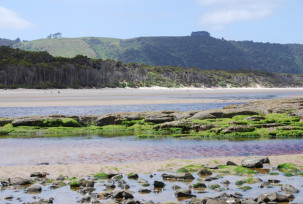 Papatowai