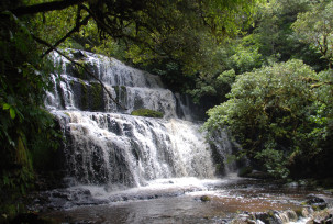 Purakanui Falls