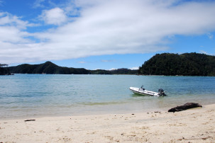 Abel Tasman Coast Track