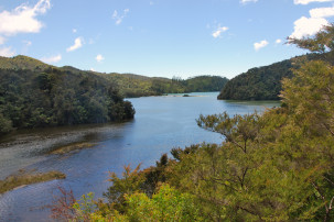 Abel Tasman Coast Track