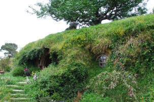 Baum auf Bilbo Baggins Höhle