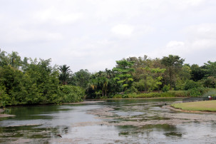 Botanischer Garten in Singapur
