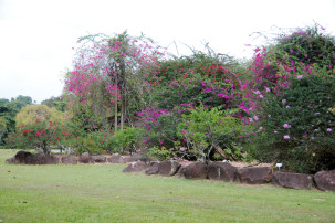 Botanischer Garten in Singapur
