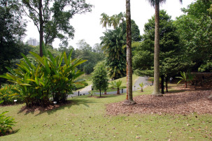 Botanischer Garten in Singapur
