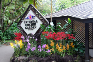 Botanischer Garten in Singapur