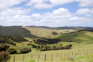 cape-reinga-2