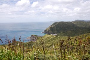Cape Reinga