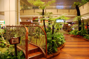 Changi Airport Singapur - Enchanted Garden