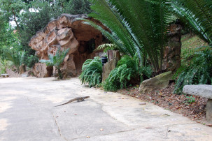 Evolution Garden in Singapur