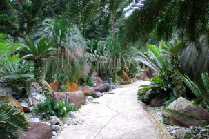 Evolution Garden in Singapur