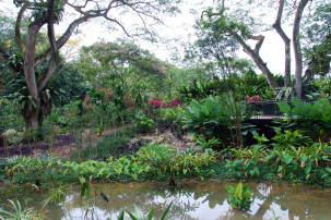 Foliage Garden in Singapur