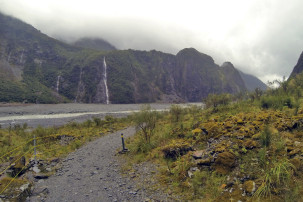 Fox Glacier Wanderung
