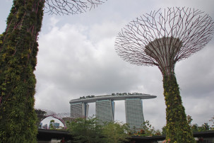 Gardens By the Bay in Singapur