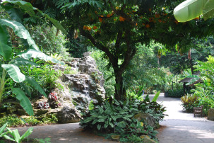 Ginger Garden in Singapur