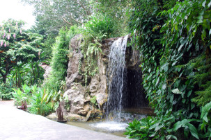 Ginger Garden in Singapur