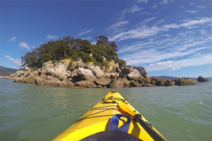 Kajaken im Abel Tasman Nationalpark