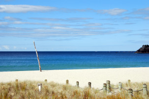Maunganui Beach