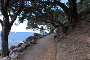 Mount Maunganui