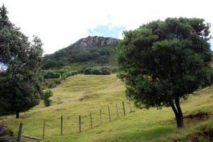 Mount Maunganui