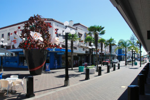 Napier