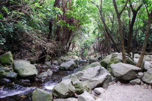 Ohau Stream Walk