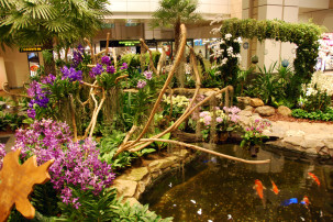 Changi Airport Singapur - Orchid Garden