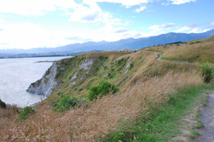 Peninsula Walkway