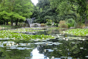 Queenstown Gardens
