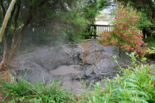 Rotorua