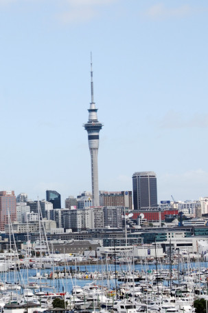 Sky Tower in Auckland