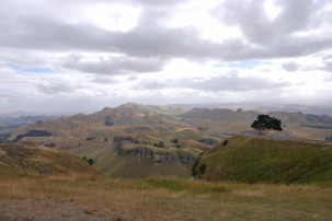 Te Mata Peak