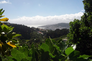 Wellington
