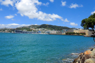 Wellington Harbour mit Blick auf das Te Papa Museum