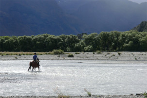 Horse Ride in Glenorchy